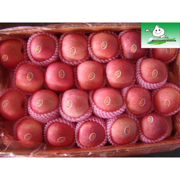 Distribuidores chinos, cajas de embalaje de fruta de manzana